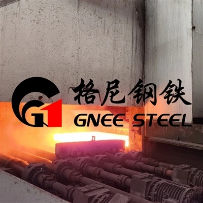 310 Stainless Steel for Food Processing Equipment: Safety & Application Advantages